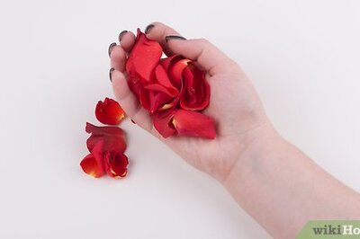 How to Make Rose Tea