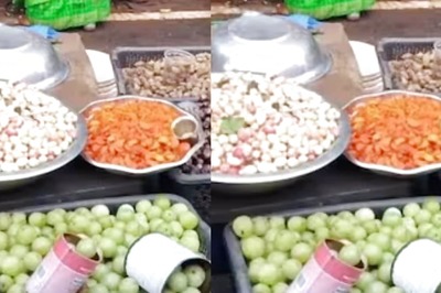 Why This Forest In Andhra Pradesh's Srisailam Town Is Special For Tourists, Devotees