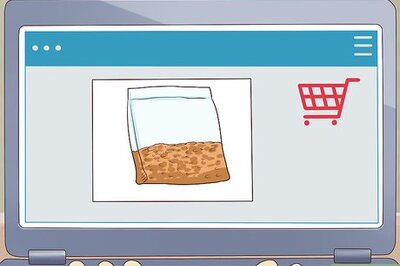 How to Plant Vinca Minor