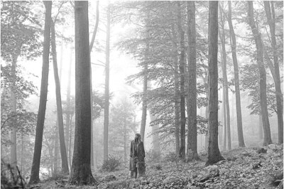 Taylor Swift Goes Indie Pop in New Album Folklore