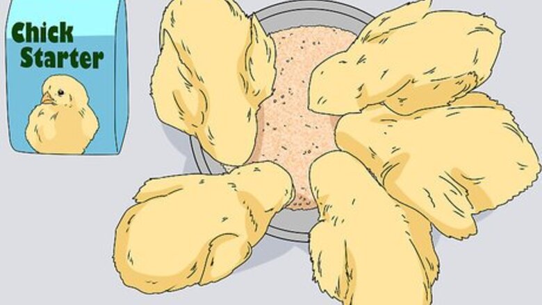 How to Promote Egg Laying in Hens