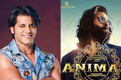 Animal: Karanvir Bohra DEFENDS Ranbir Kapoor's Film, Says 'You Cannot Curb Creativity'