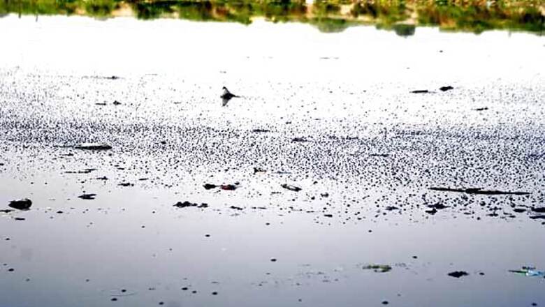 Half of Delhi's sewage released into Yamuna untreated: CAG