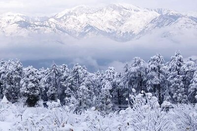 Flight Services Hit in Jammu and Kashmir Due to Snowfall