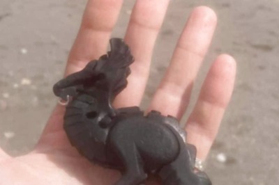 27 Years On, Lego Pieces From 1997 Shipwreck Still Washing Ashore