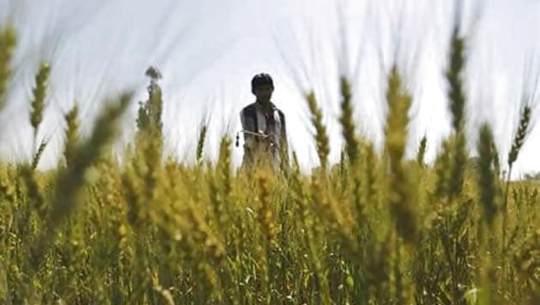 Won't allow land acquisition against farmers' will: UP CM Akhilesh Yadav