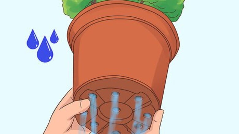 How to Maintain a Planter