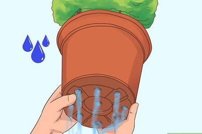 How to Maintain a Planter