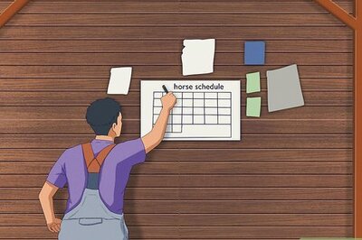 How to Make a Horse Run Faster