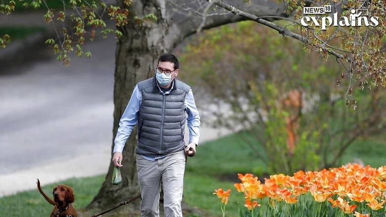 How Much Should You Walk? Study Says 4,000 Steps Reduce Risk of Early Death, 2,337 Eliminate Diseases
