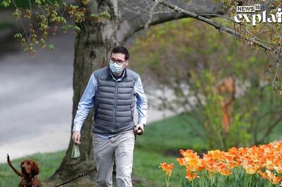 How Much Should You Walk? Study Says 4,000 Steps Reduce Risk of Early Death, 2,337 Eliminate Diseases