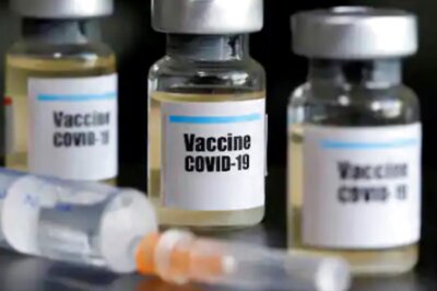 New Vaccine Candidate Induces Immune Response in Mice, Primates, Says Study