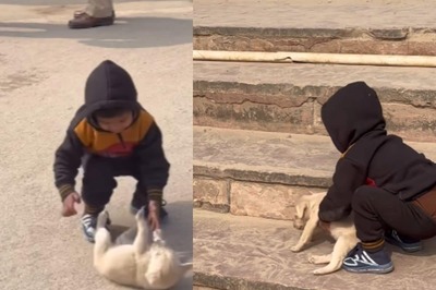 Midweek Blues? Video Of Little Boy Playing With Puppy Will Make Your Day