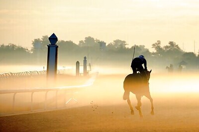 Race Track Settles With Feds For Manure, Urine Discharges