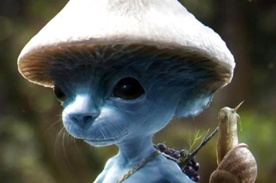What is The Blue Smurf Cat Meme Taking Internet By Storm? Here is All You Need to Know