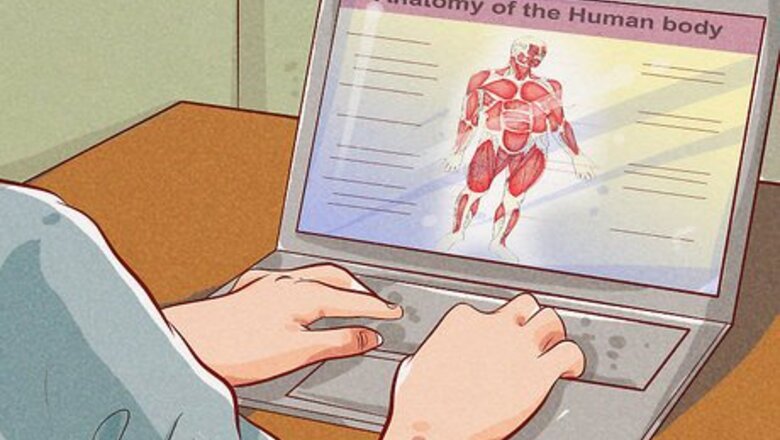 How to Study Kinesiology