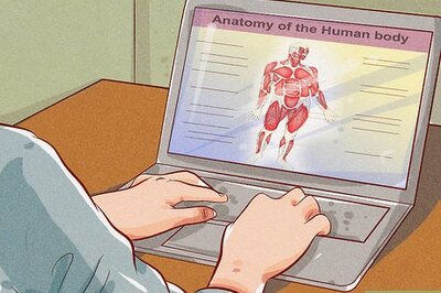 How to Study Kinesiology