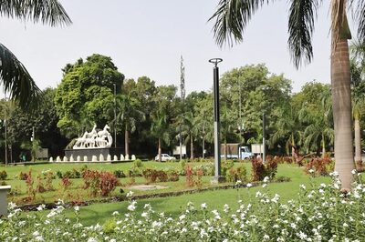 G20 Summit: 6.75 Lakh Pots of Flowering Plants, Foliage to Adorn Delhi Roads