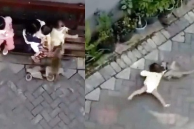 Old Video Of Monkey Kidnapping Toddler On A Bike Goes Viral Again