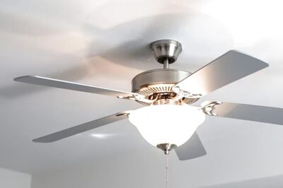 Stricter Standards For Ceiling Fans: Govt Issues Quality Norms, Hefty Fine For Violation