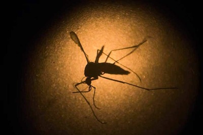 AI Enters The Fight Against Zika; Diagnoses Virus With up to 95% Accuracy