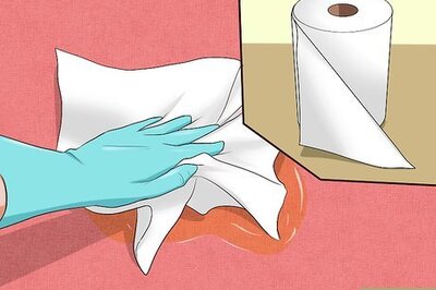 How to Remove Cat Urine Smell