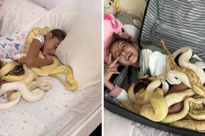 Inside A Locked Suitcase, Little Girl Found Chilling With Snakes; Watch Here