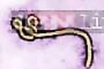 TV adaptation of Ebola best-seller 'The Hot Zone' in the works