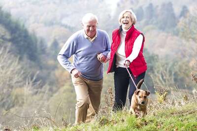 Household Pollutants Cause Infertility in Both Men & Dogs