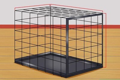 How to Prevent a Dog from Defecating in its Crate