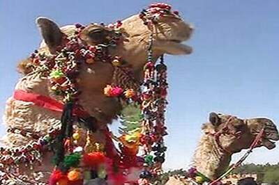 Government to accord state heritage status to ship of deserts