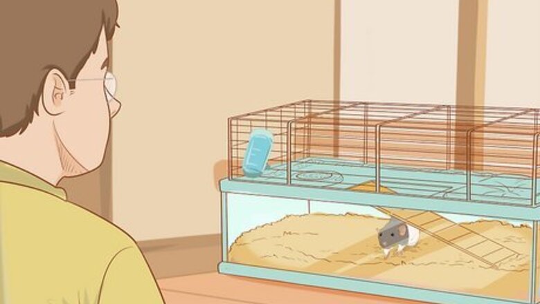 How to Train Your Rat to Do Tricks