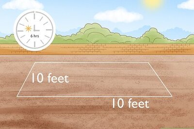 How to Plant the Three Sisters