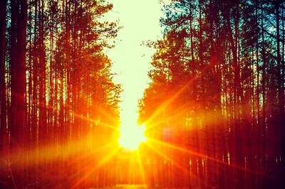 Aaj Ka Panchang, July 1, 2024: Tithi, Vrat, and Today’s Shubh, Ashubh Muhurat