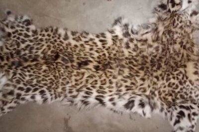 Three Arrested in Siliguri for Killing Leopard, Eating Its Meat