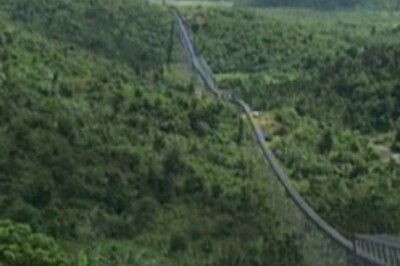 Found: World's oldest living tree, age 9,550