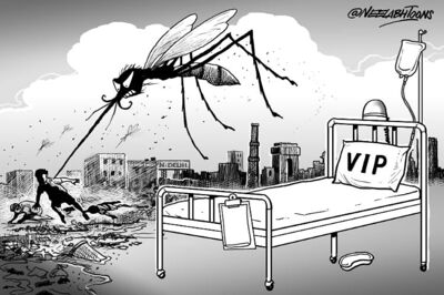 Delhi: 277 dengue cases in 2nd week of November; total crosses 15,500