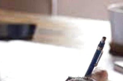 Online Courses That Can Get You Harvard Certification for Free