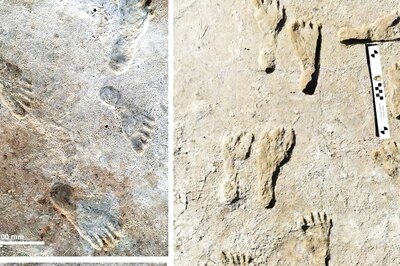 Humans Existed in North America 23,000 Years Ago, New Study Shows