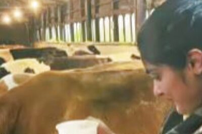 Vakeel Saab Actress Nivetha Thomas’ Video of Milking Cow Receives Flak on Internet