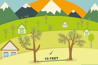 How to Build a Survival Shelter