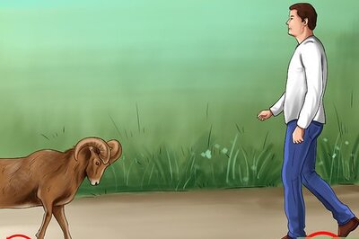 How to Defend Against a Ram