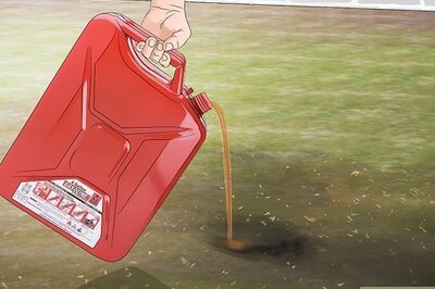 How to Get Rid of Ground Bees with Gas