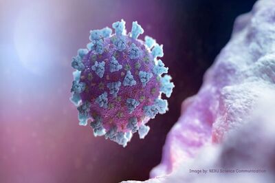Scientists Identifies Drugs that May Block Coronavirus from Jumping to Uninfected Cells