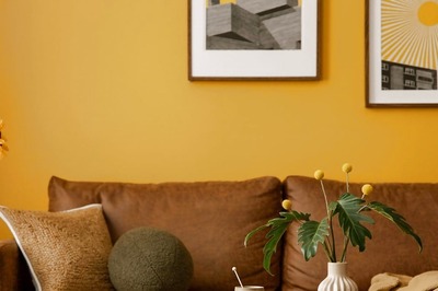 Colour Psychology And Festive Design: How Designers Use Colour To Evoke Celebration