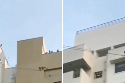 Watch: Monkeys Using Electric Cables As Zip-Line Crossing Reminds Internet Of Khatron Ke Khiladi