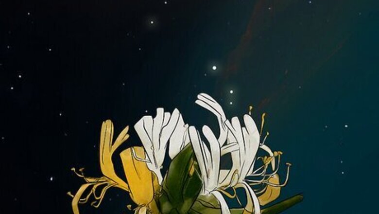 A Complete List of Flowers for All 12 Zodiac Signs
