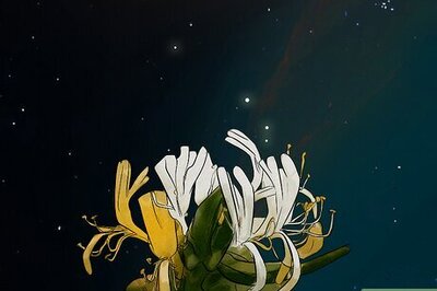 A Complete List of Flowers for All 12 Zodiac Signs