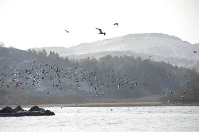 No Tsunami Threat After Magnitude 7.5 Earthquake off Russia's Kuril Islands