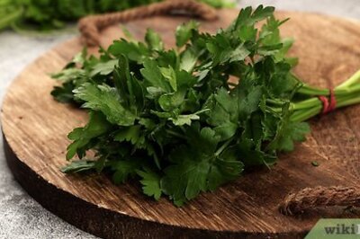 How to Freeze Cilantro